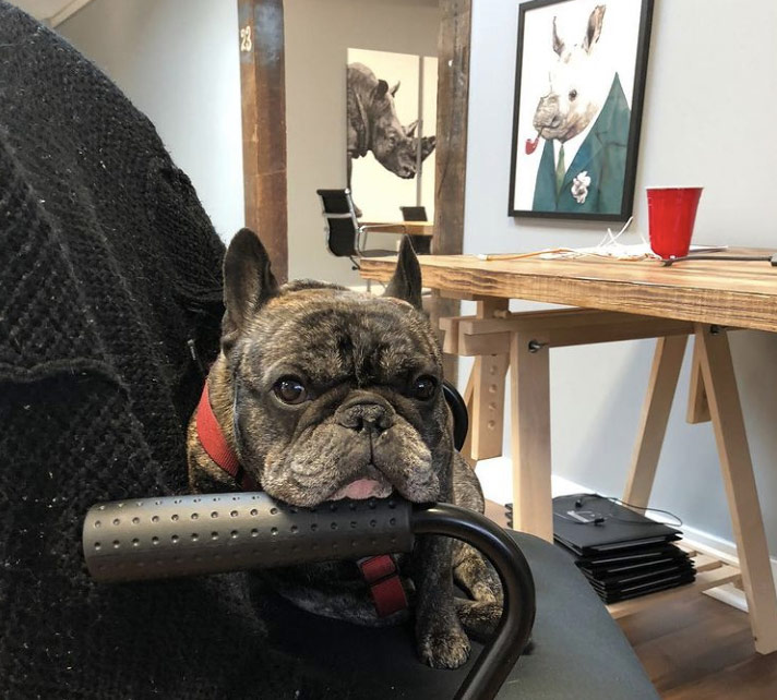 Walter in chair