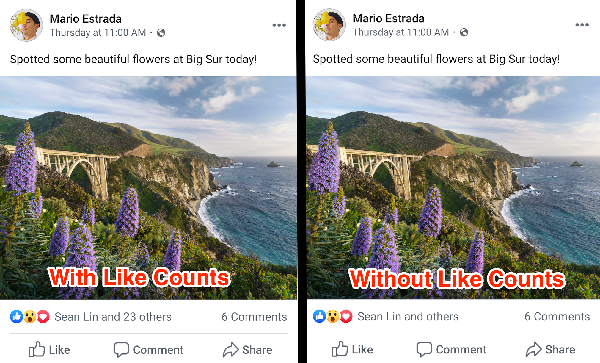 Facebook to Test Removing Like Count